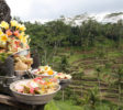 Fairaway-rundreise-bali-lombok-12-tage-7