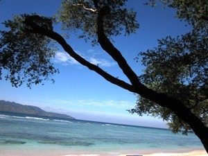 rundreise-bali-erlebe-indonesien-gili-trawangan-strand-ruhe-300x225