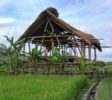 mukabumi-projekt-bali-1