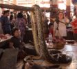 Minahasa Tour-Tomohon_Markt_Schlange