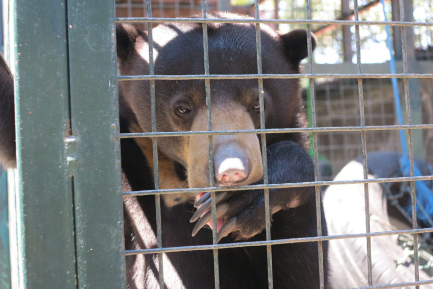 friends-of-the-national-parks-foundation-andrea-5