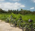 Greenbike-Cycling-Tour61