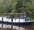 LocalGuides - Tanjung Puting - Boat