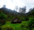 baliem-valley-trekking-papua