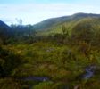 baliem-valley-trekking-papua