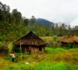 baliem-valley-trekking-papua