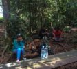 localguides-tunjung-puting-orang-utan-tour-kalimantan-19
