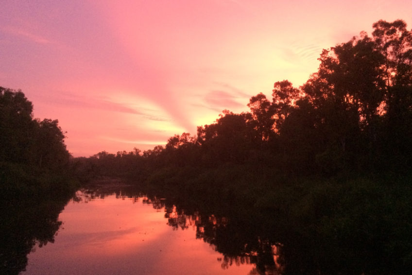 localguides-tunjung-puting-orang-utan-tour-kalimantan-34