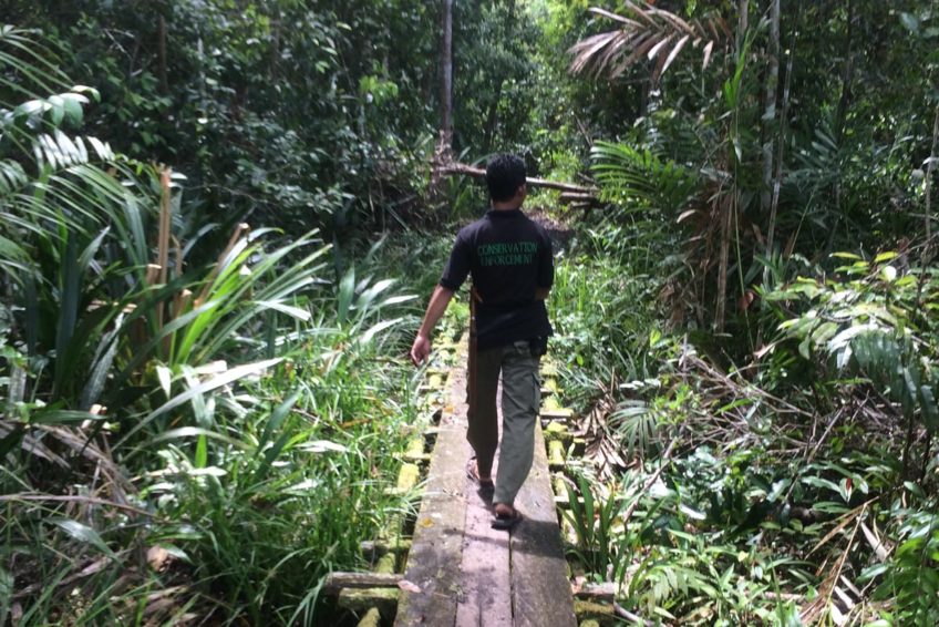 localguides-tunjung-puting-orang-utan-tour-kalimantan-40