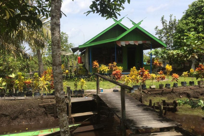 localguides-tunjung-puting-orang-utan-tour-kalimantan-45