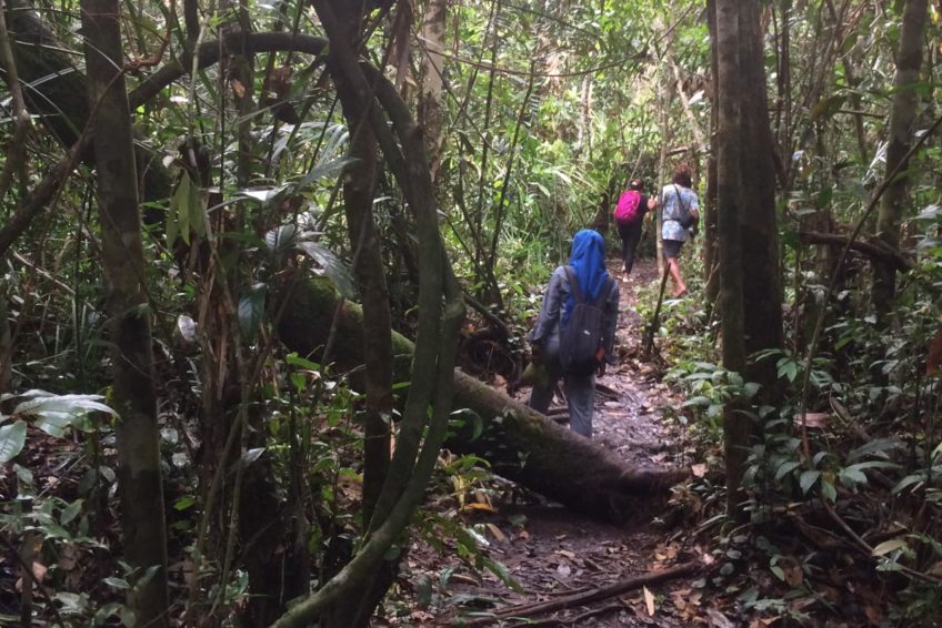 localguides-tunjung-puting-orang-utan-tour-kalimantan-9