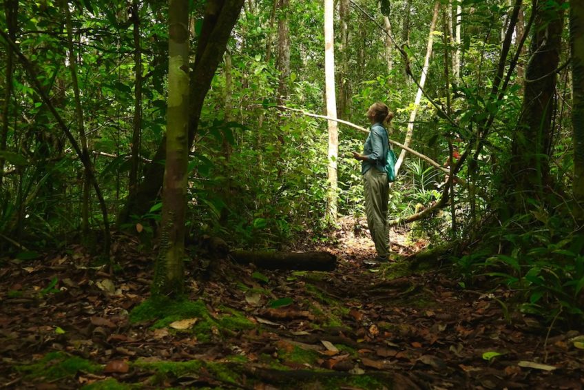 tanjung-puting-nationalpark-8