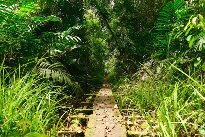 tanjung-puting-nationalpark-8