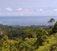 bogani-homestay-panorama3
