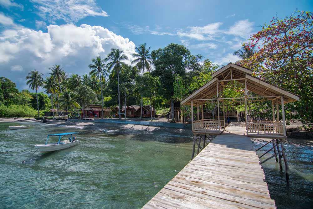 Indojunkie Vibes - Finde die besten Reisetipps für Indonesien
